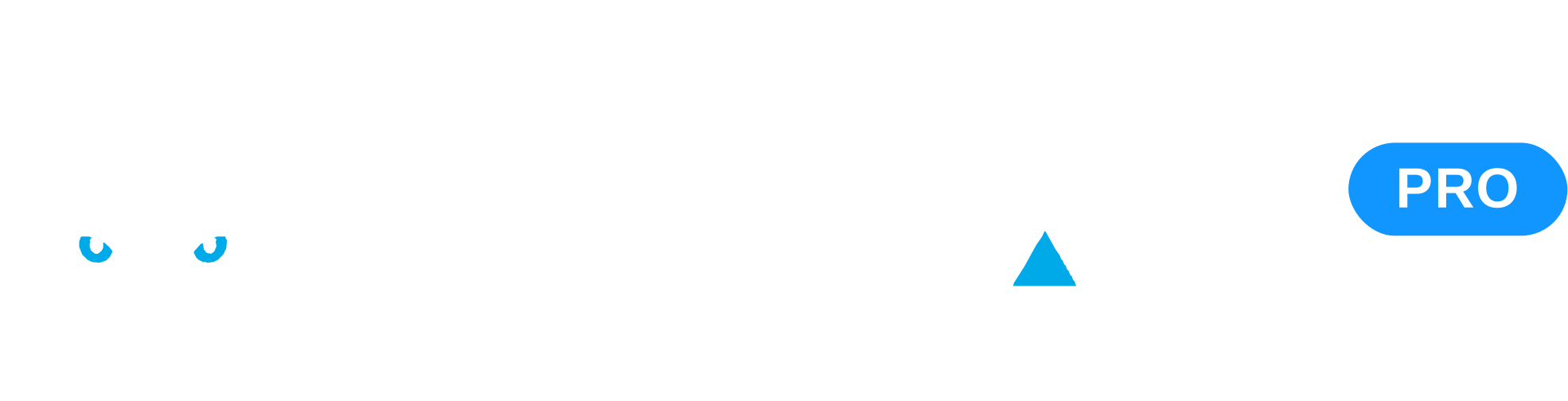 Logo Zerval Pro