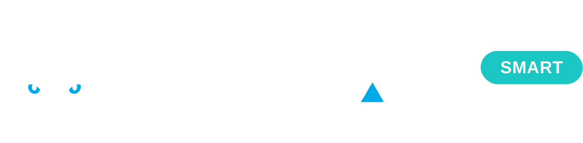 Logo Zerval Smart